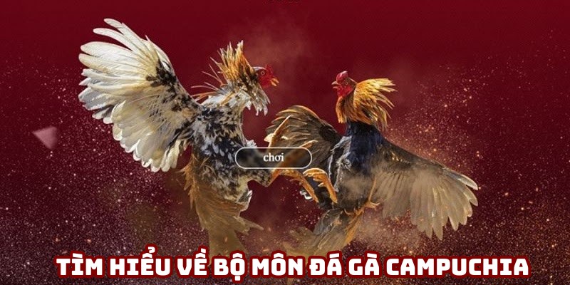 Đá gà Campuchia 23win