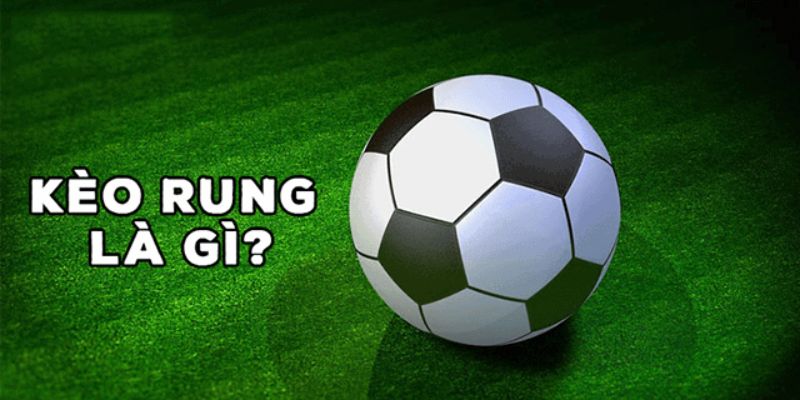 Thông tin sơ lược kèo rung