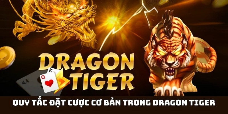Quy tắc đặt cược cơ bản cần nắm trong Dragon Tiger