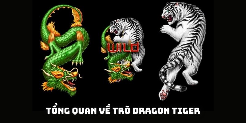 Tổng quan về trò Dragon Tiger